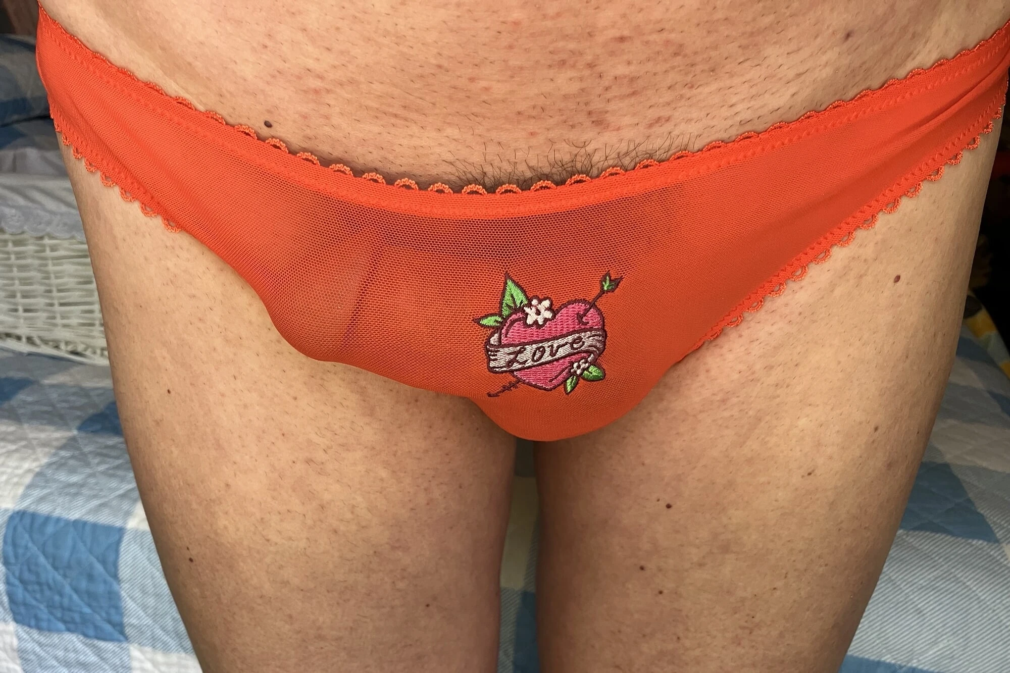 Külottan gözetliyor