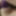 This is MRs LU Pussy with big labia, Butterfly pussy