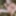 Pakistani hot wife Lahore 