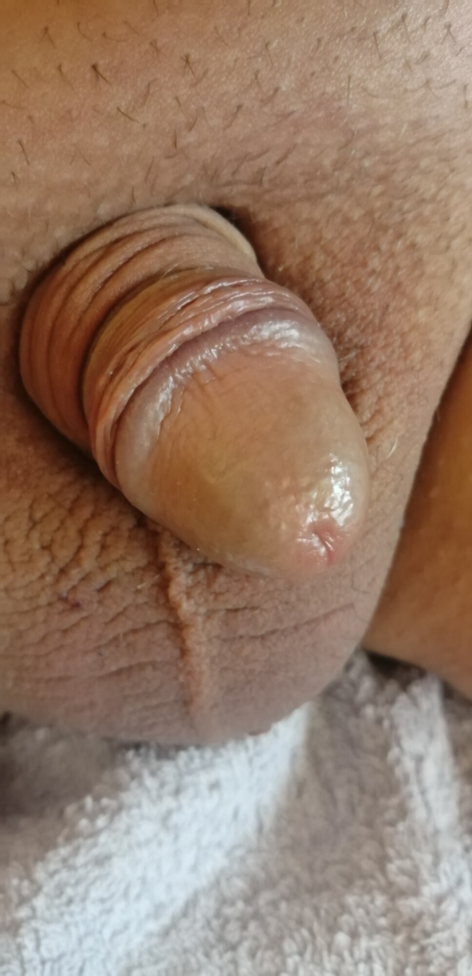 Ma minyon nouille 