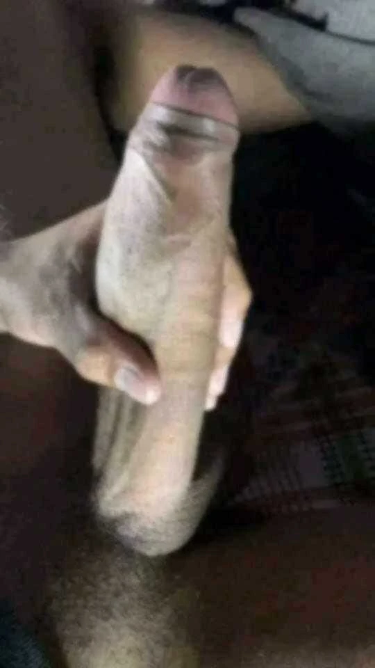Hintli siyah cobra 