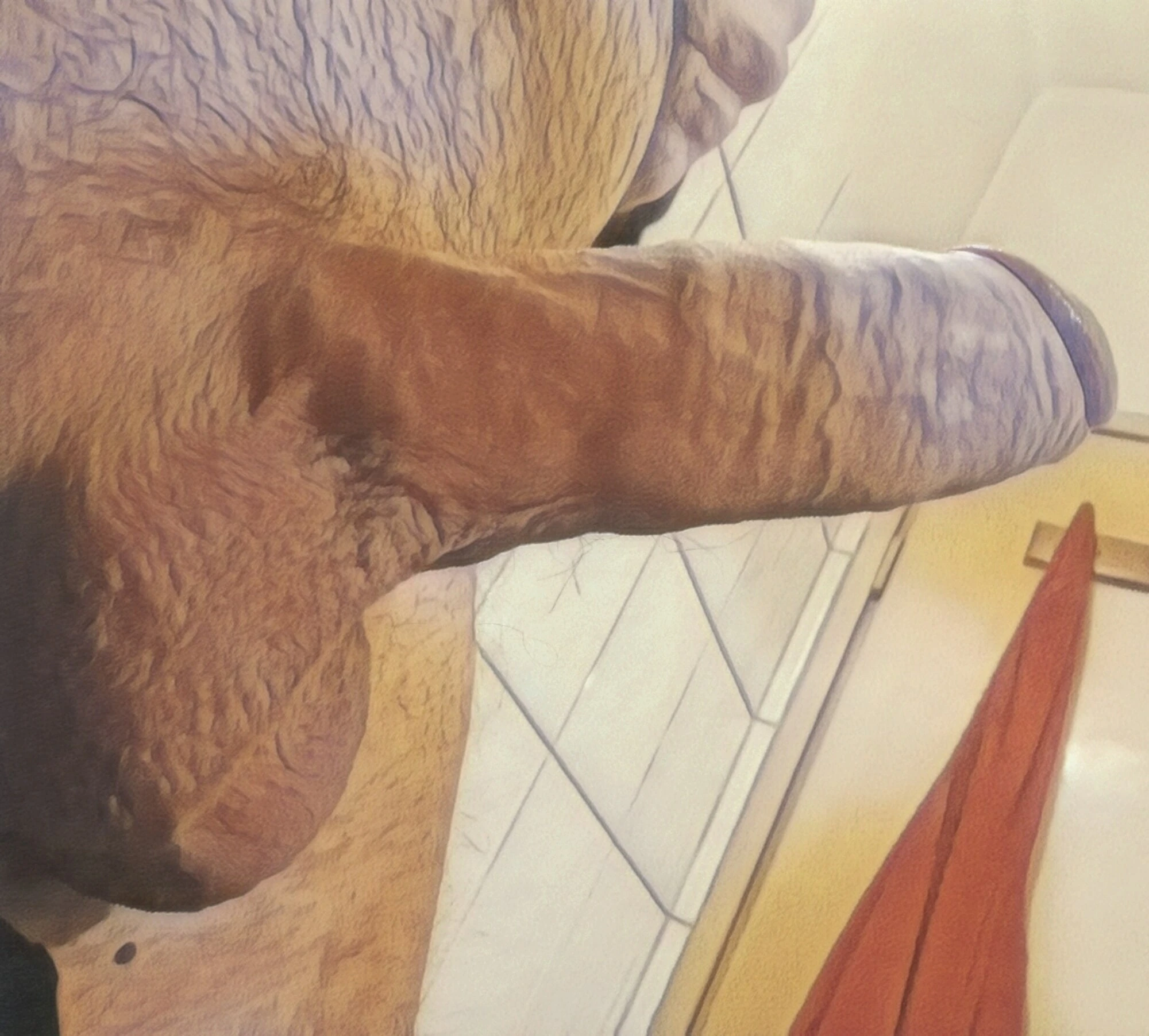 Dick #2