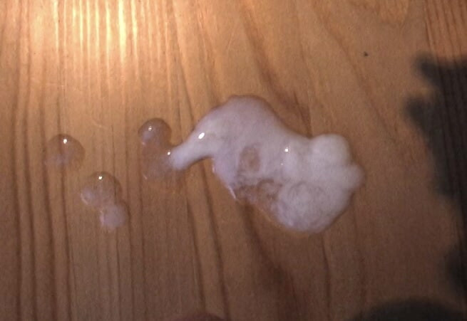 Little cumshot 
