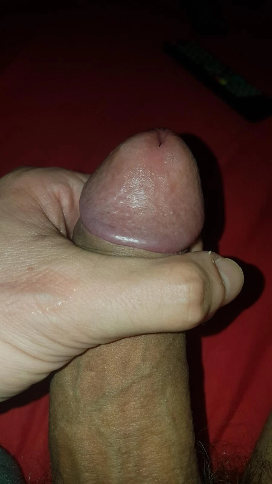 твердый дуб