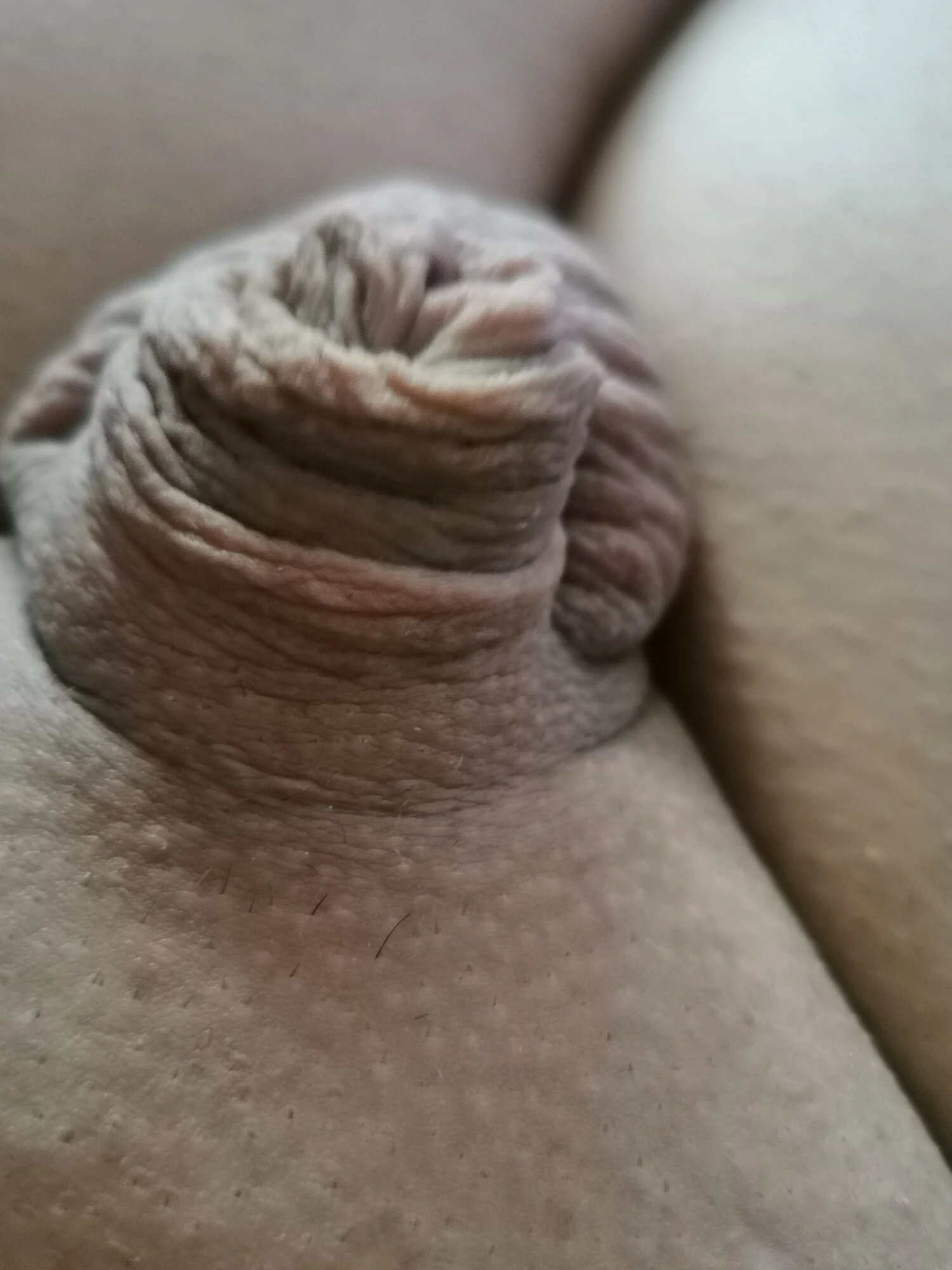 My tiny dick  #2