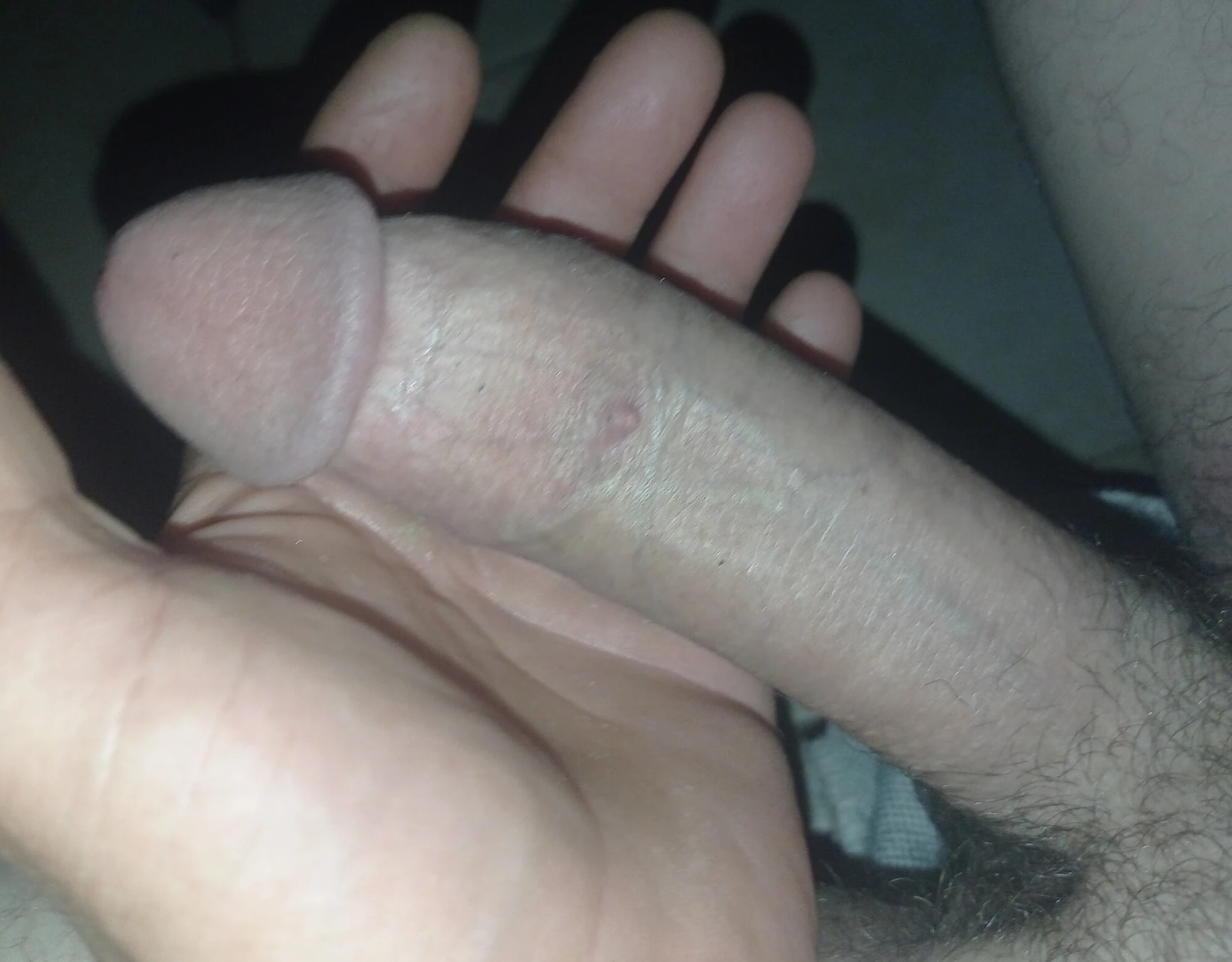 Penis