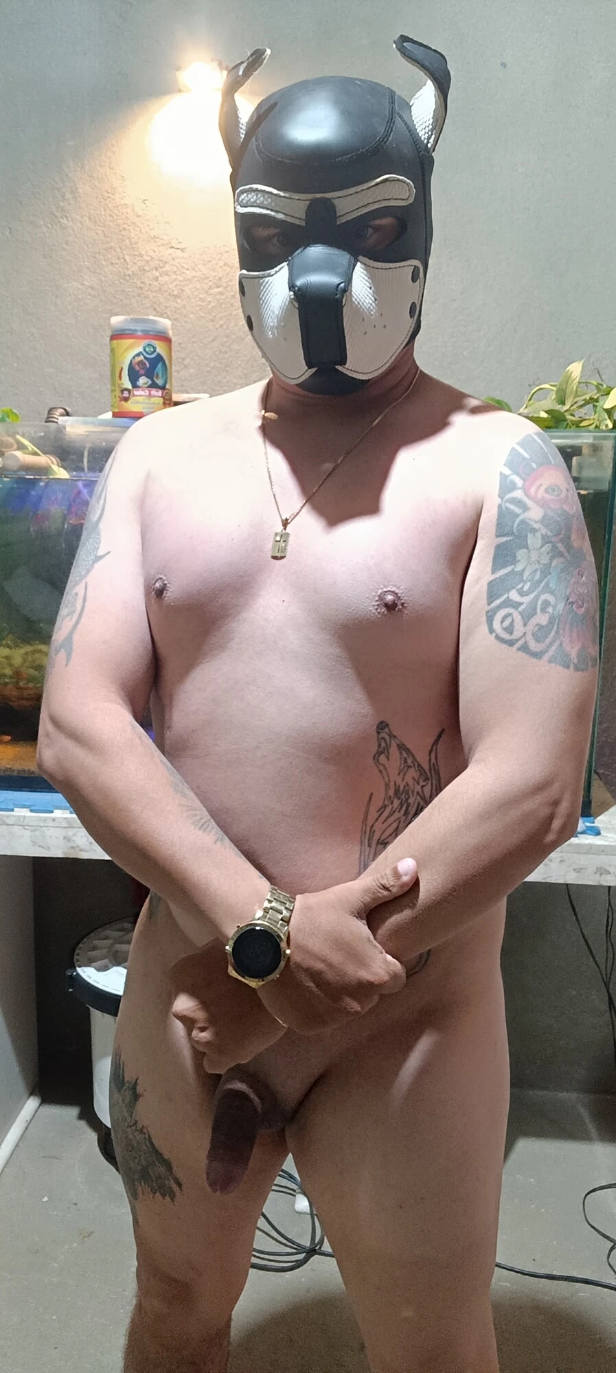 Спайк-щенок 