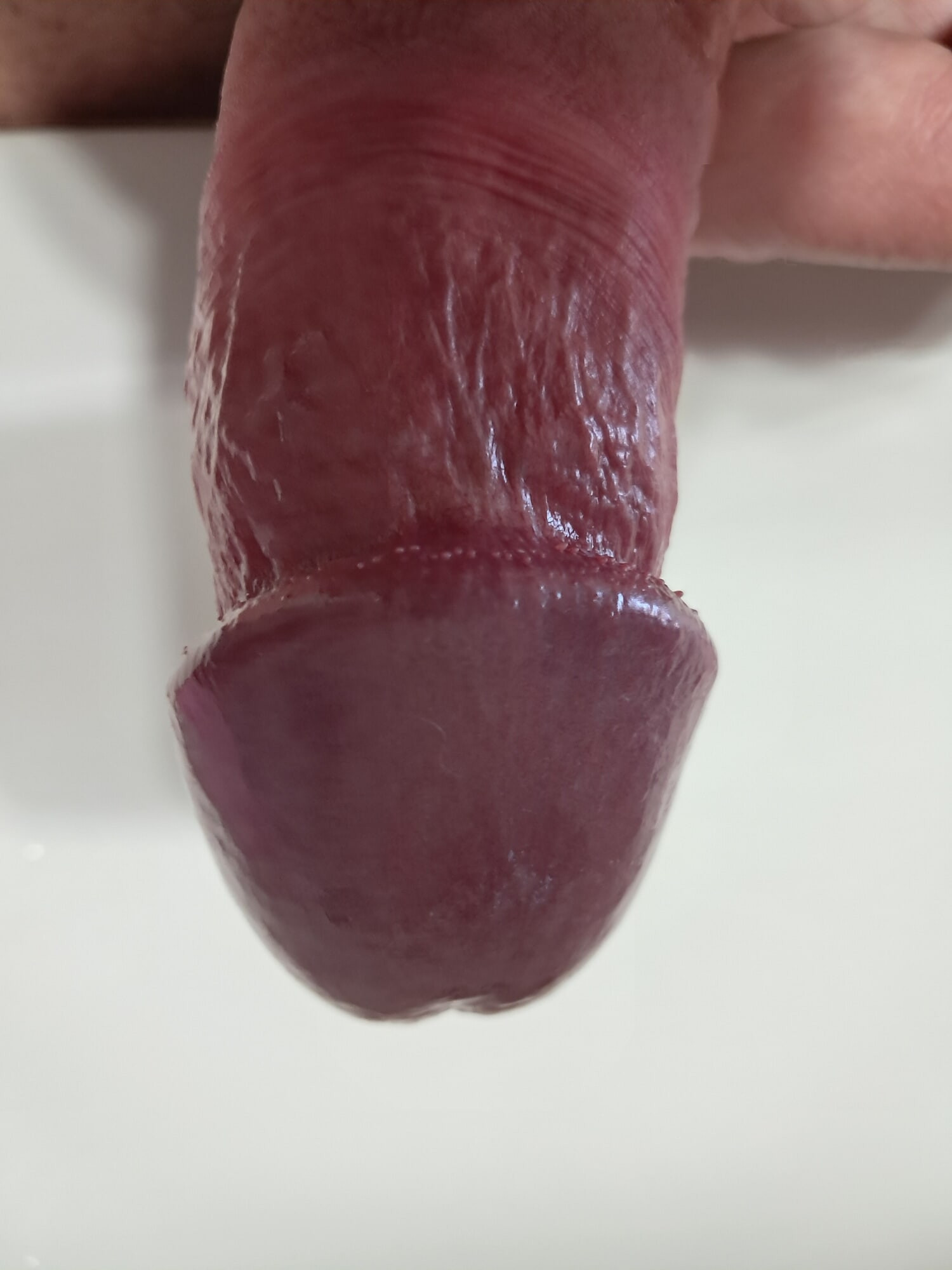 La mia capocchia per voi