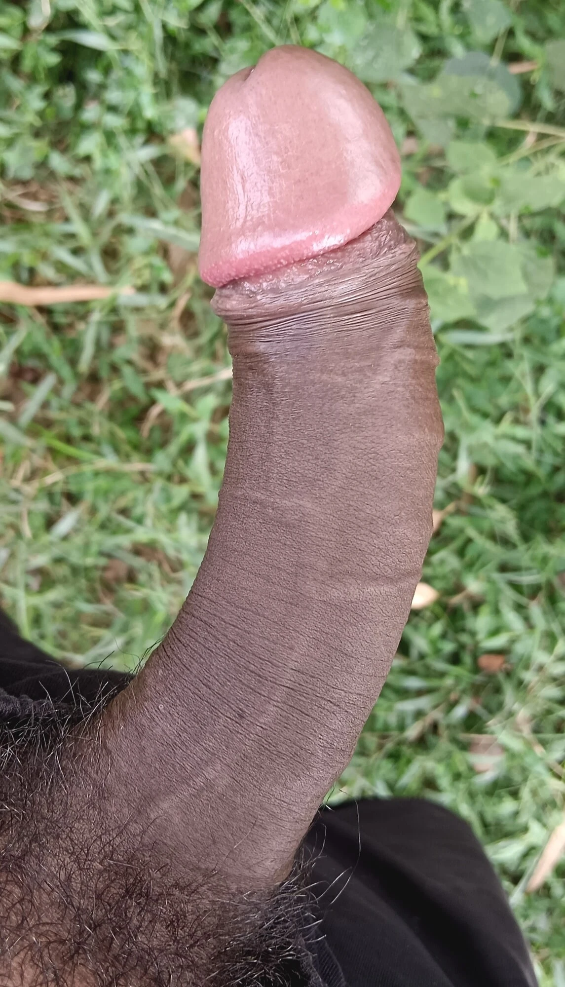 Заинтересована только тетушка бхабхи