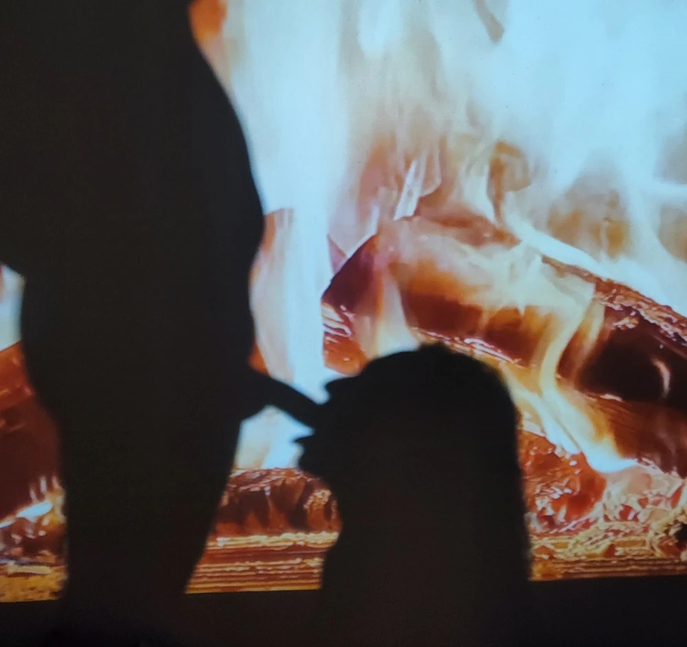 Excerpt from one of our moments with shadow play