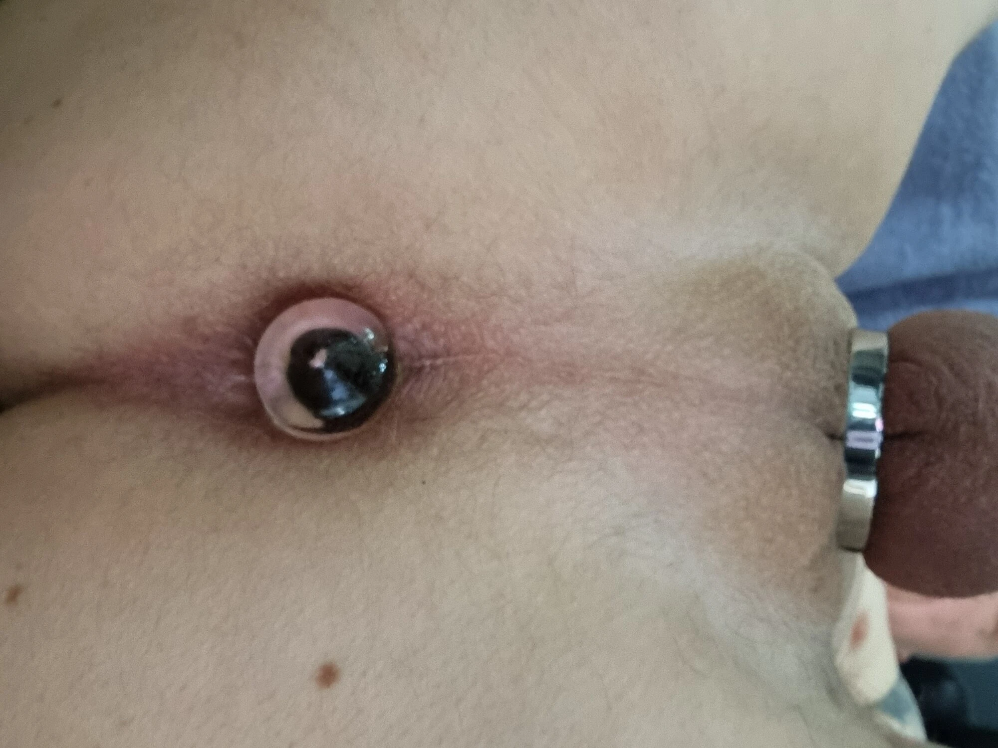 Cam popo plug