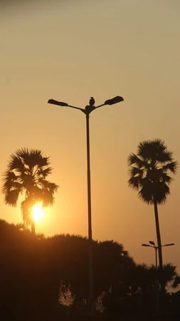 Benim