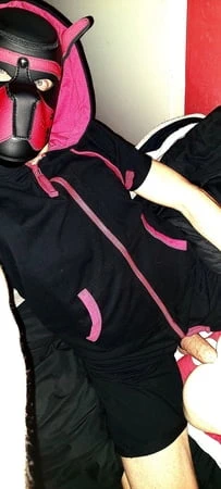 Köpek yavrusu yarakla oynuyor