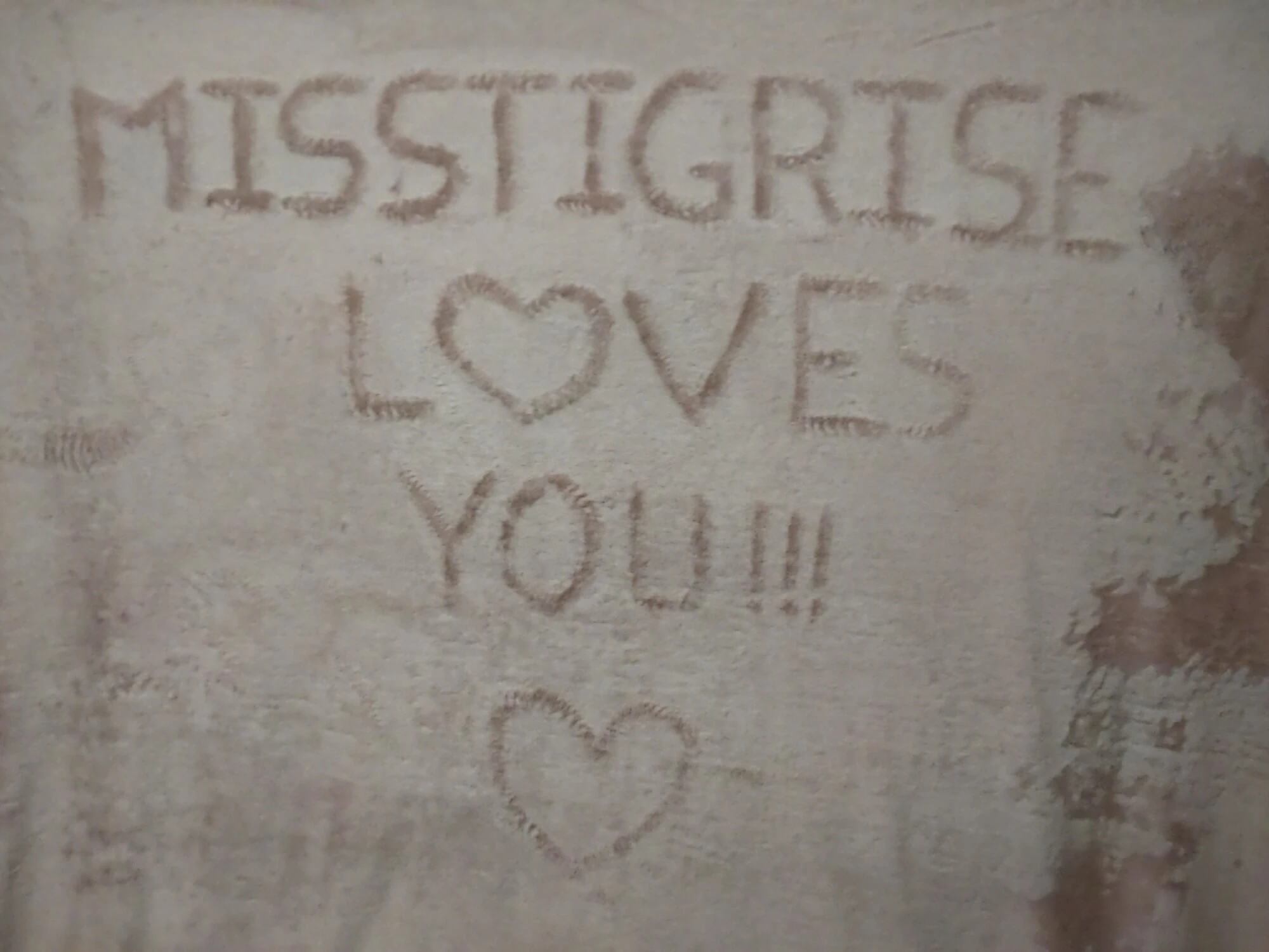 Misstigrise seni seviyor