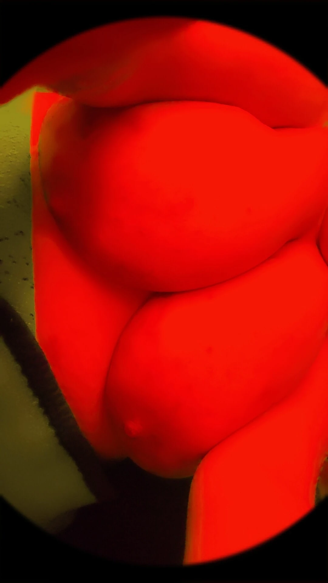 Tits Galore #4