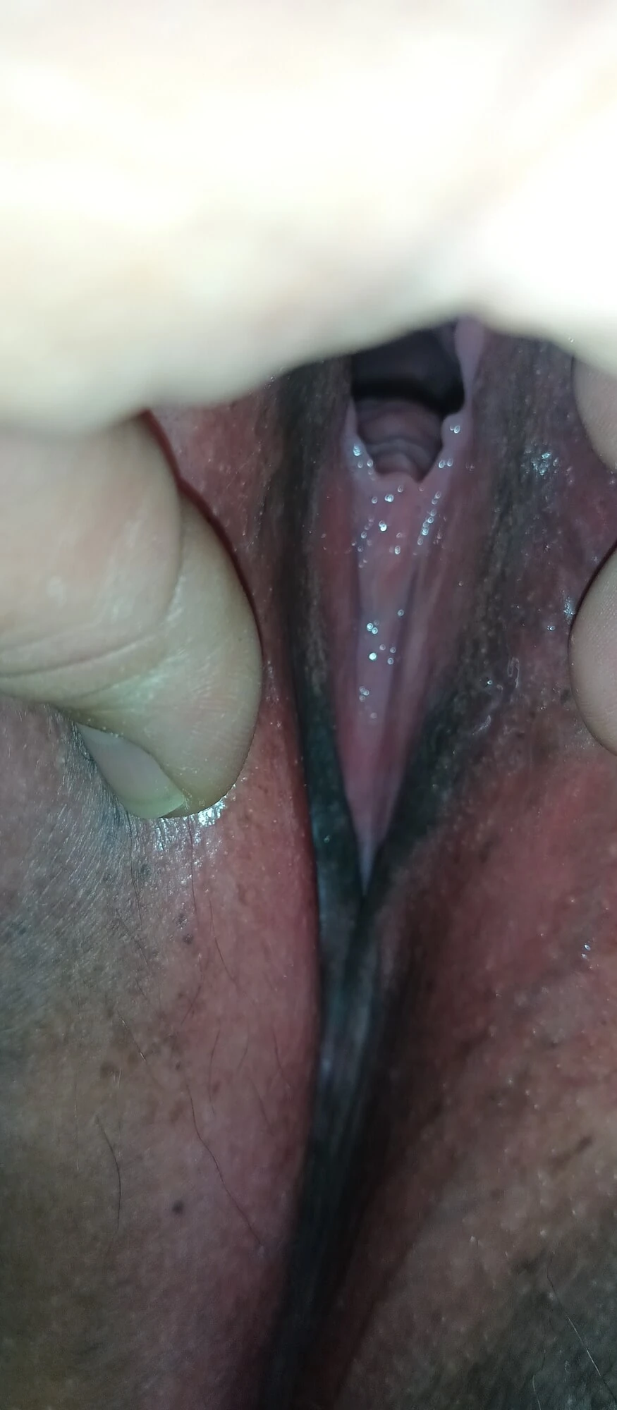 Cream Me! 