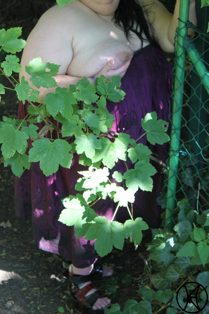 Die Parkbank- The Park Bench III #3