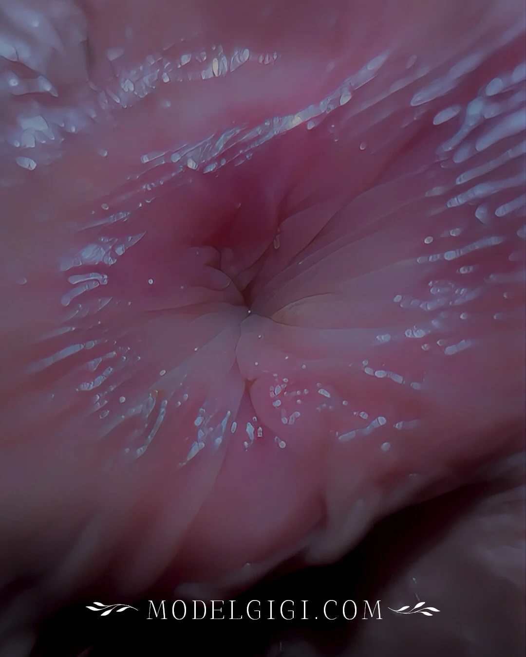 Стильный альбом No6