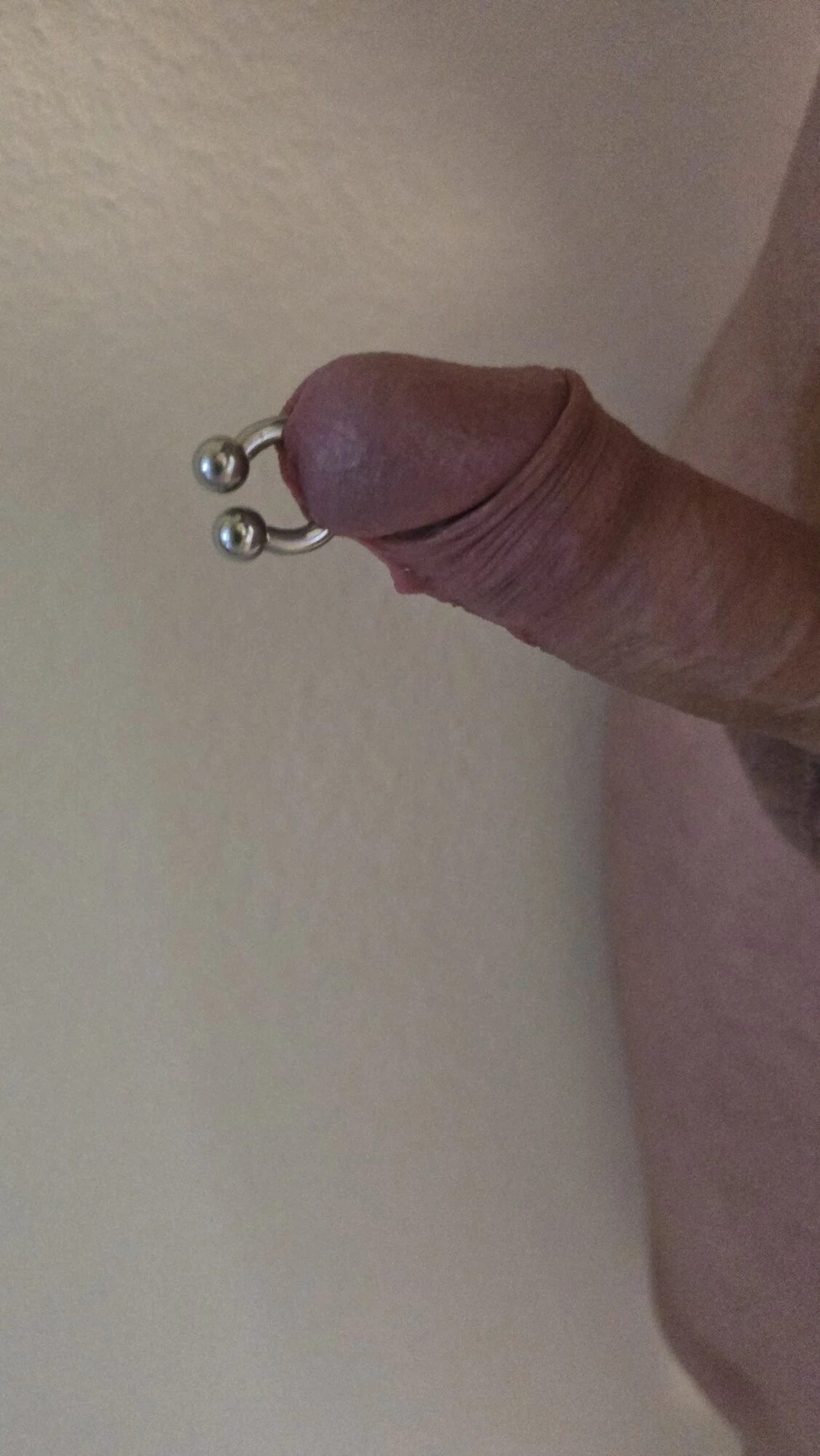 Prieced yarak prens albert piercing 