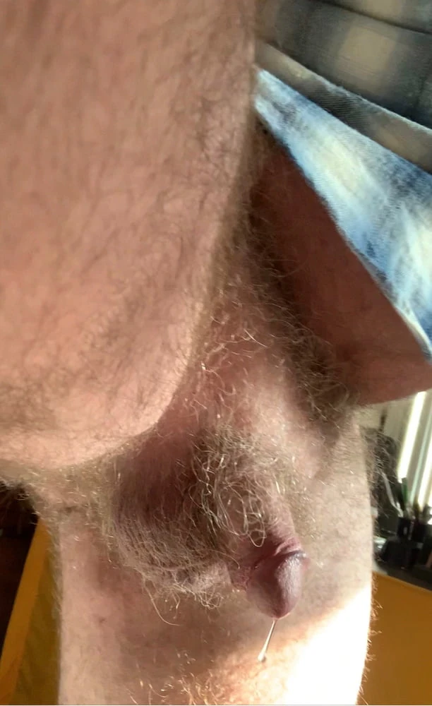 Stachebear  #4
