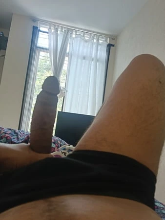 Busco şeker bağışçısı