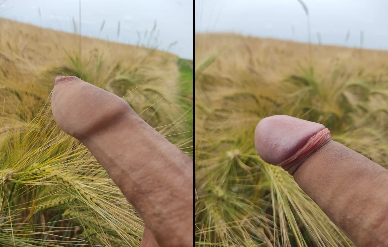 on the fields #2
