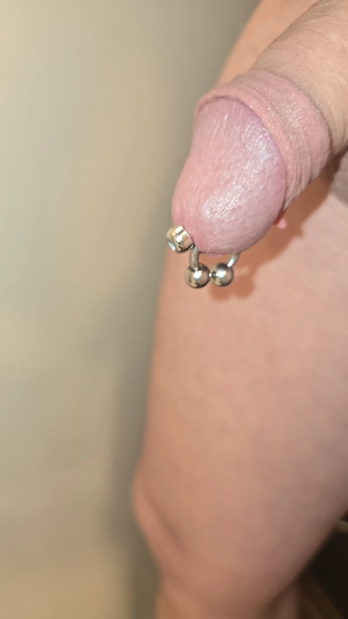 Prince Albert Dilator 