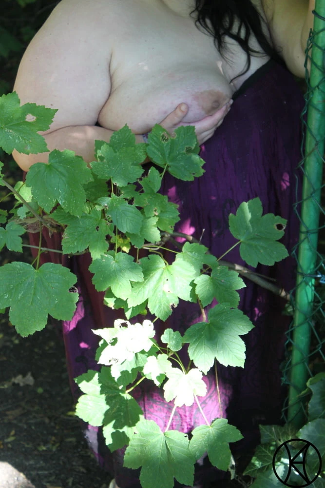 Die Parkbank- The Park Bench III #4