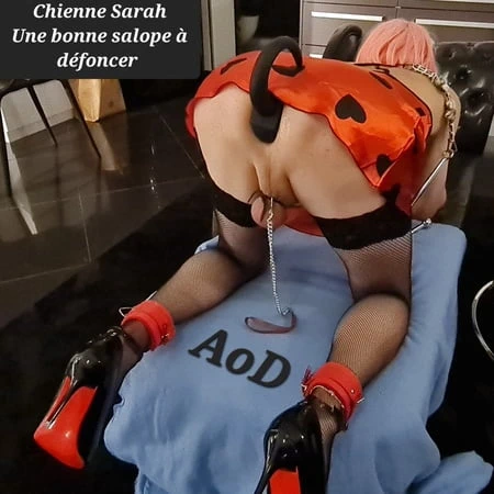 Sarah Travlope m'y albüm 