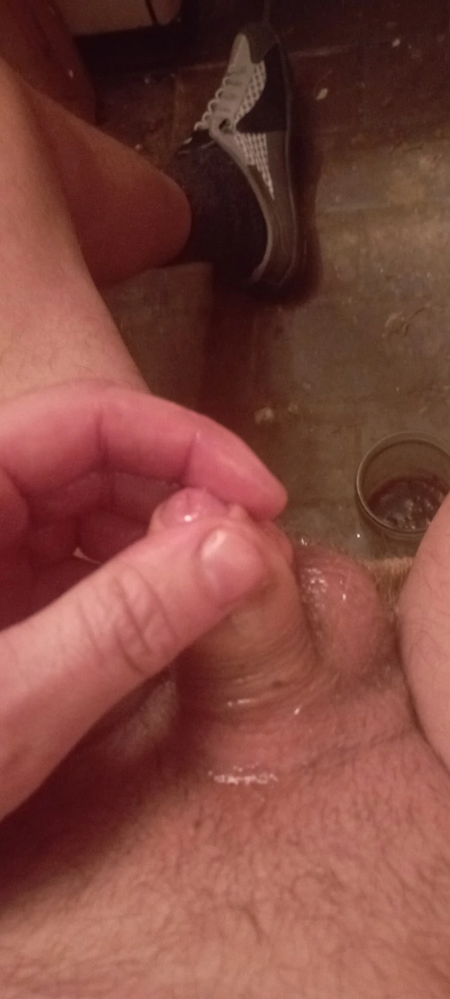 Penis 