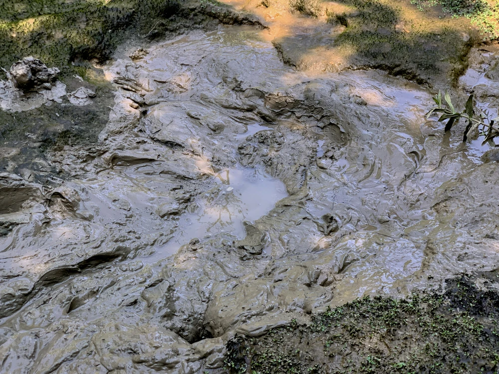 SHOT : MUD SUBMISSION #3