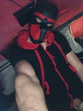 Azgın köpek yavrusu