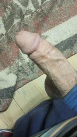 Büyük Asyalı yarağım 