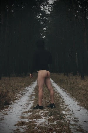 Orman