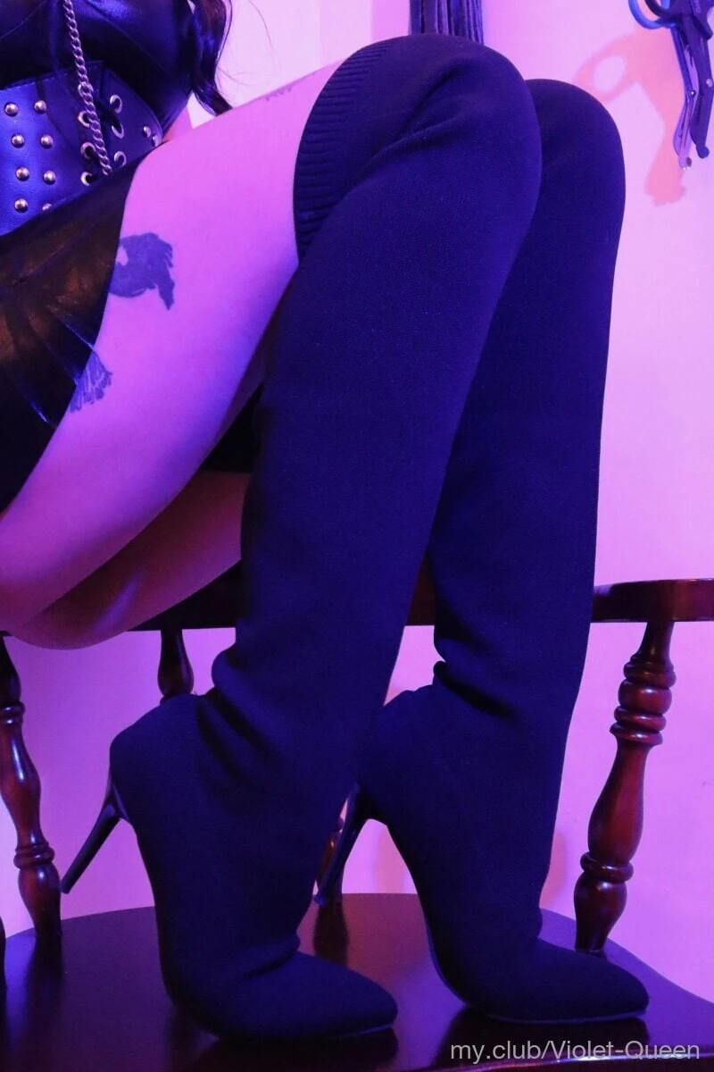 Ücretsiz Violet Queen Fotoğrafları