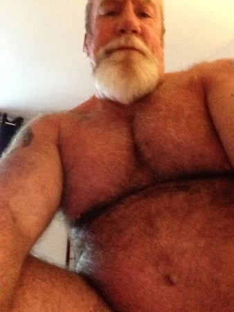 Stachebear