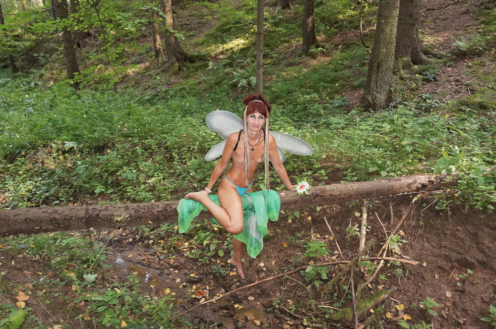 Elf on the log