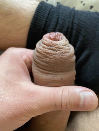 Sünne derisi pornosu yok edildi