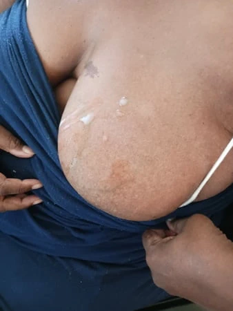 Köpek yavrusu ilk komutta sonra döl dağınıklığı bırakıyor 