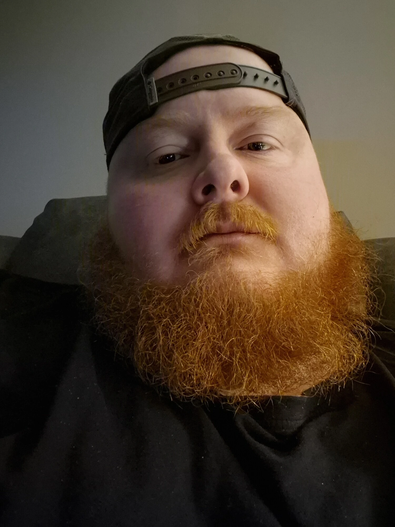 Kırmızı sakallı fatman