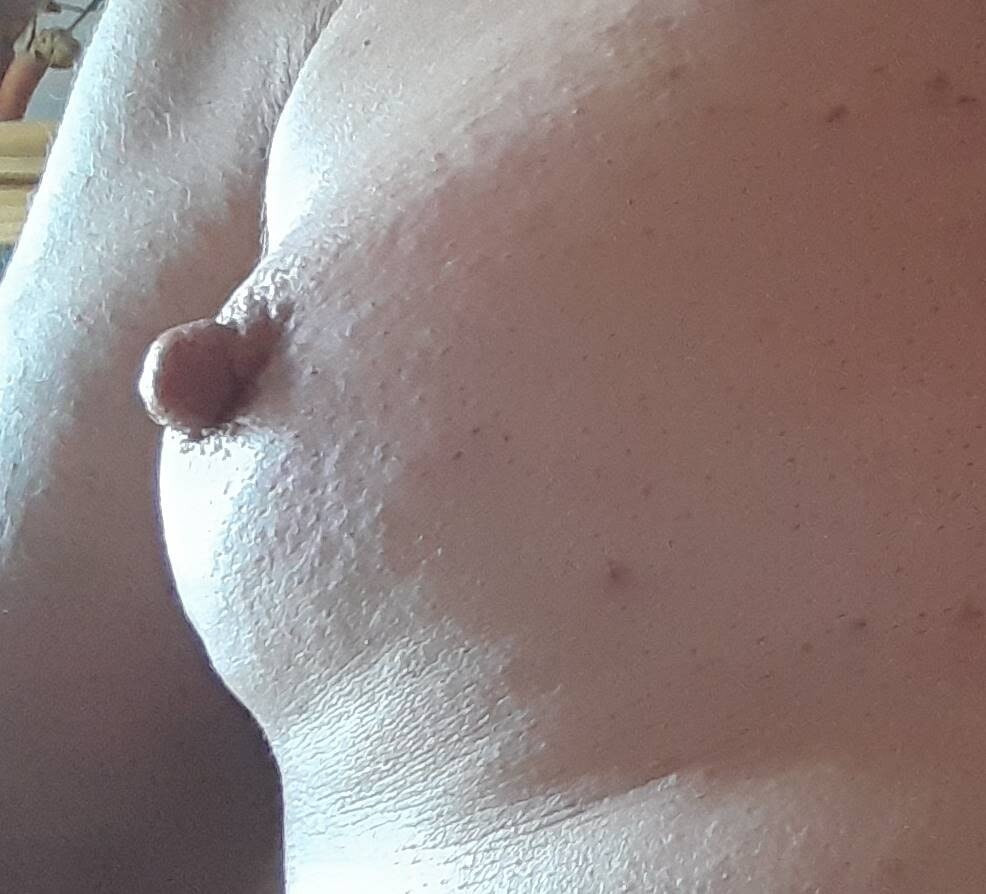 Meine ersten Bilder