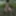 OUTDOOR: What are you going to do to me in the woods?
