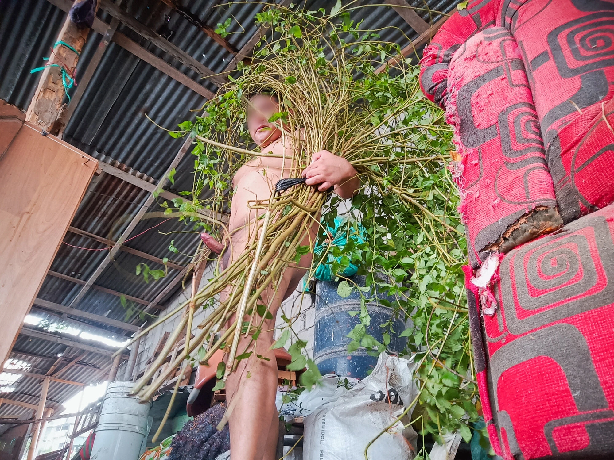 Çıplak weeds yükleniyor (çıplak çalışıyor) - 3