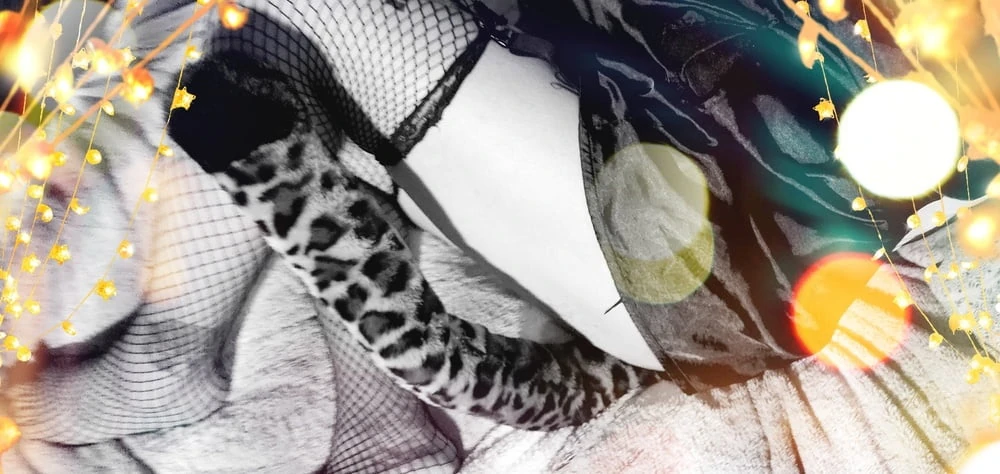 In a kitty kinda mood.