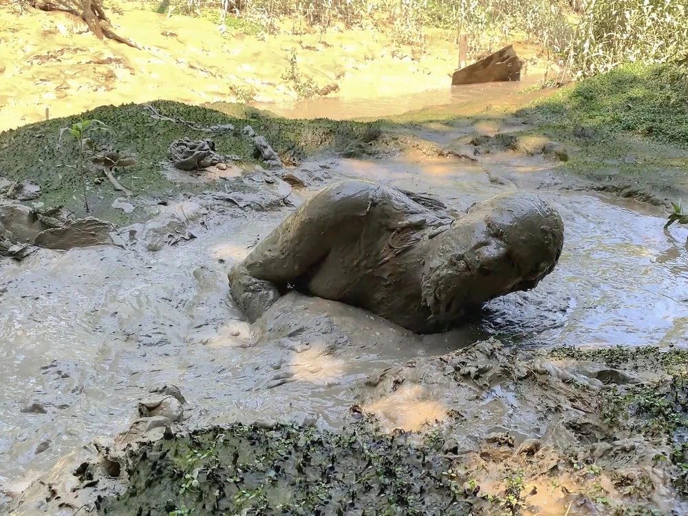 SHOT : MUD SUBMISSION