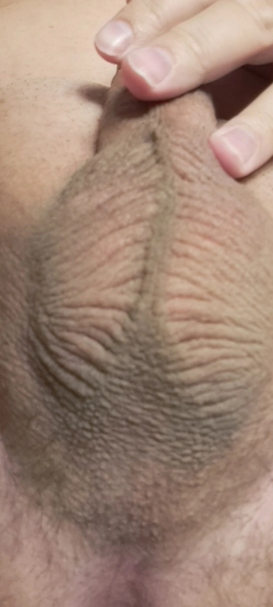 Eier