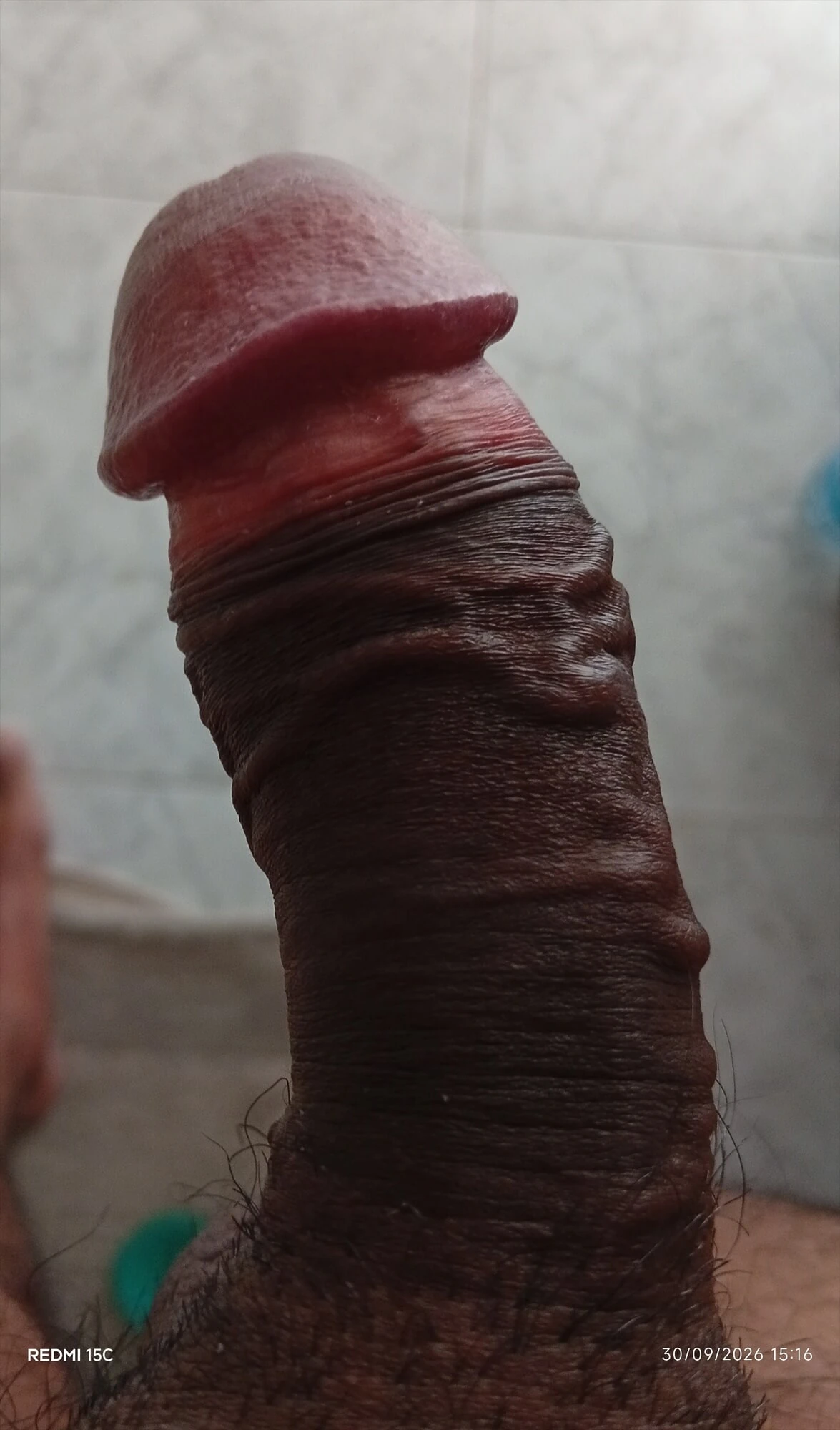 Aletim