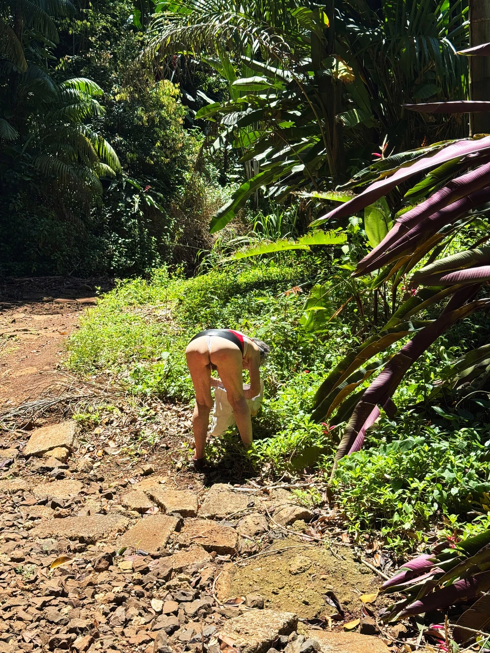 Wahiawa Botanical Park - Oahu, Hawaii #4