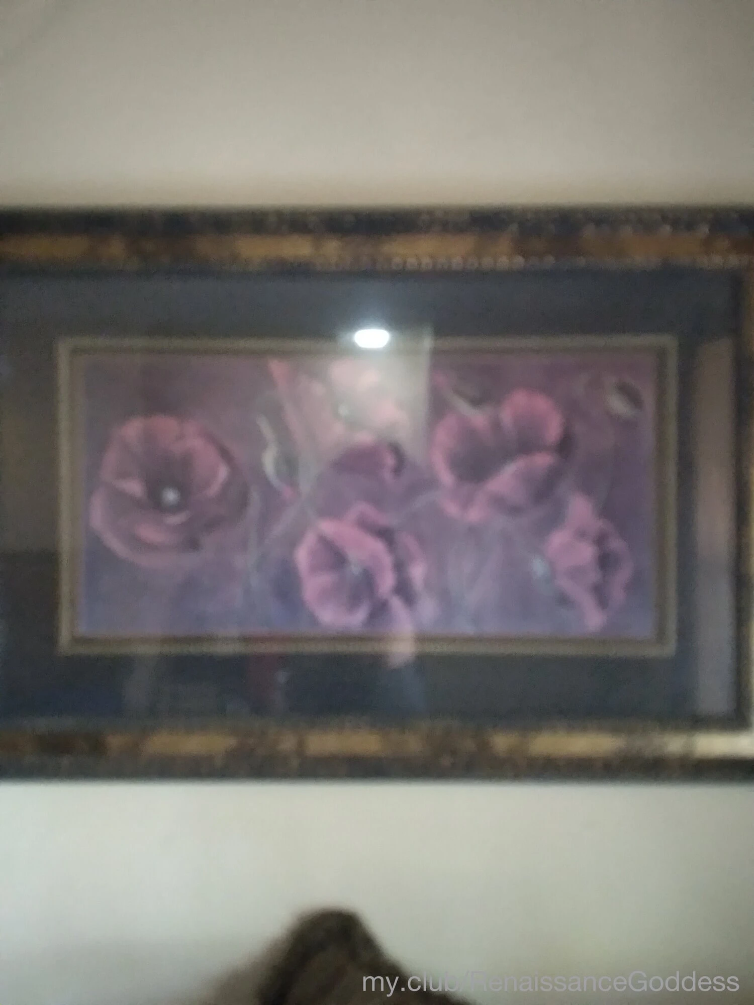 RenaissanceGoddess  Free Photos