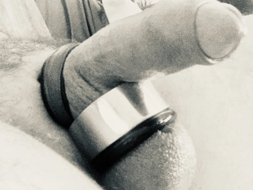 EXIBITIONIST #3